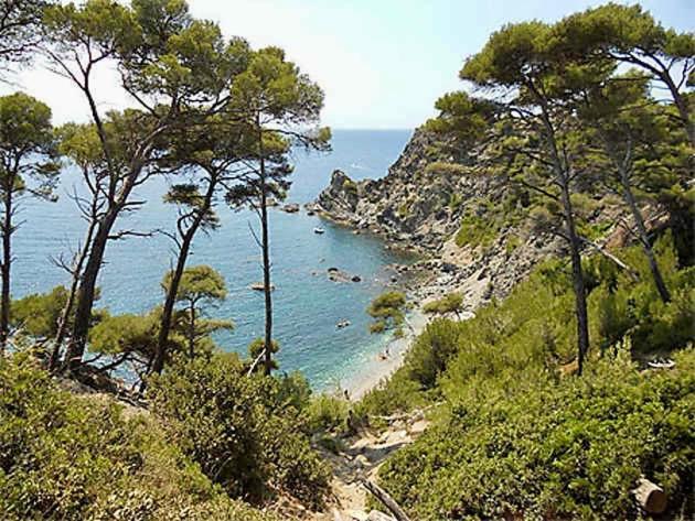 La Fincazur! Proche Plages Six-Fours-les-Plages Exterior foto